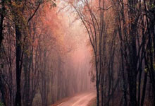 黑白体育：2025“兵甲球杆”杯大学生中式台球公开赛2025-03-29.