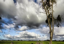 逼全红婵学英语，不学就骂白痴，连对岸都看不下去了.