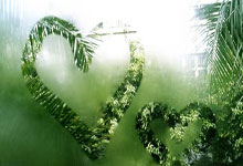 记者：若一切按计划进行，库巴西可以出战奥萨苏纳.